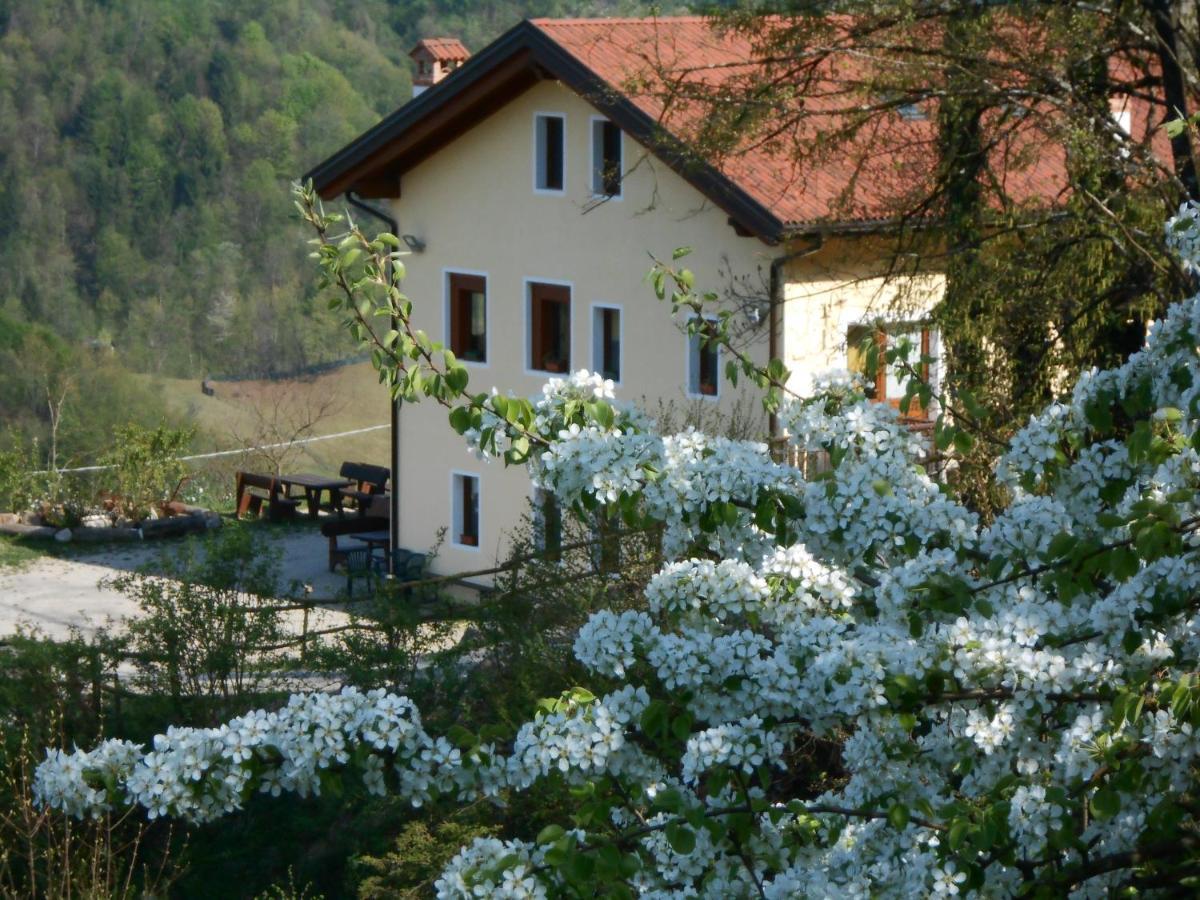 Agriturismo La Casa Nei Boschi Colderu 外观 照片