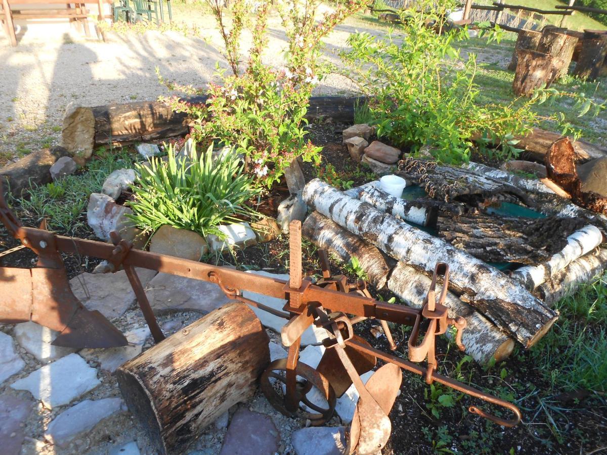Agriturismo La Casa Nei Boschi Colderu 外观 照片