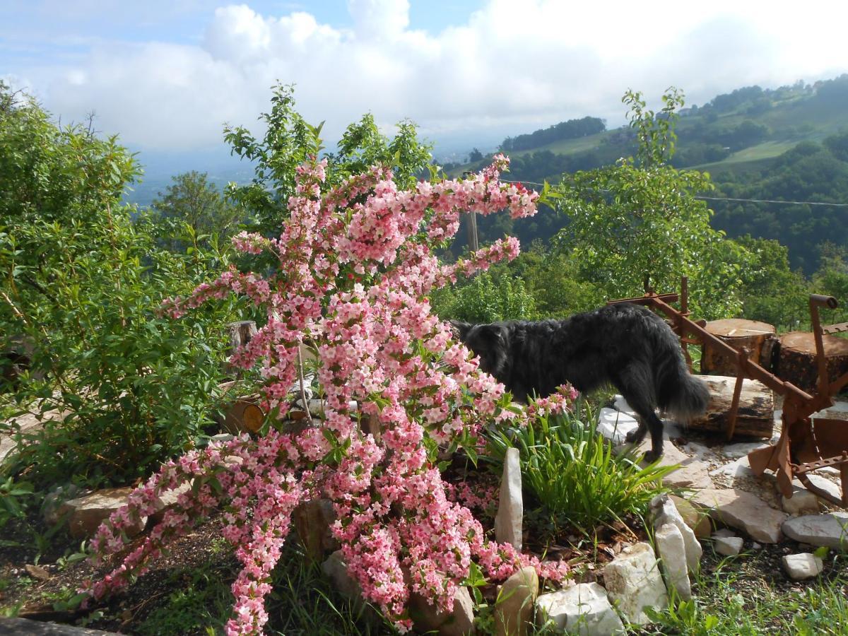 Agriturismo La Casa Nei Boschi Colderu 外观 照片