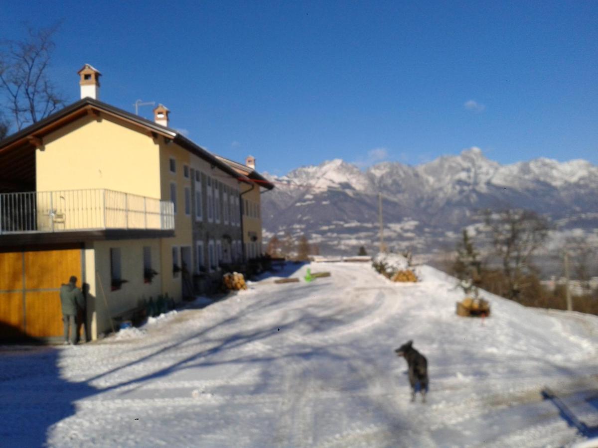 Agriturismo La Casa Nei Boschi Colderu 外观 照片