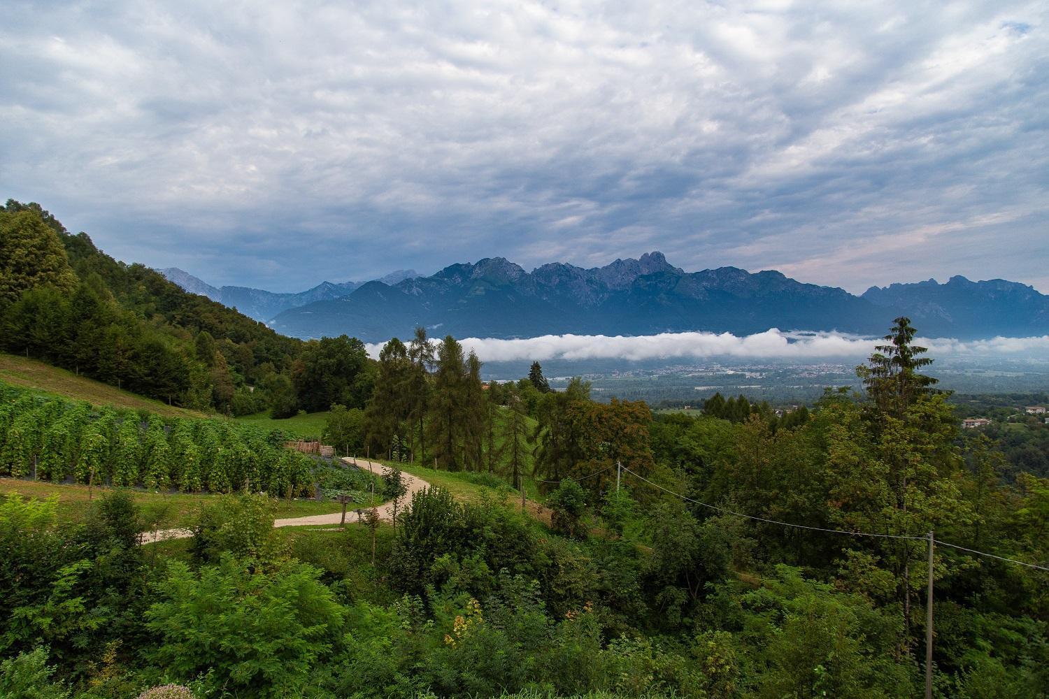 Agriturismo La Casa Nei Boschi Colderu 外观 照片